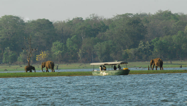 nagarhole wildlife sanctuary